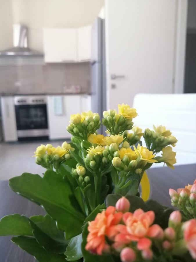 Le Finestre Sulla Piazza Bed & Breakfast Boiano Dış mekan fotoğraf